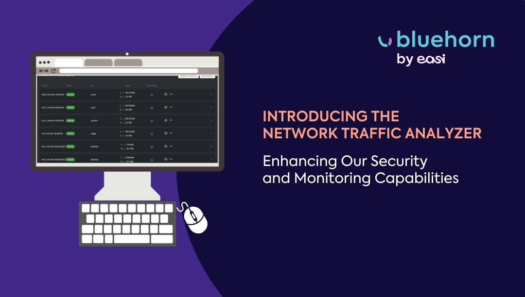 BlueHorn introduces the Network Traffic Analyzer